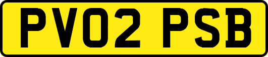 PV02PSB