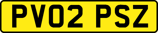 PV02PSZ