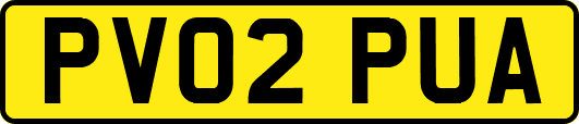 PV02PUA
