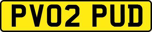 PV02PUD