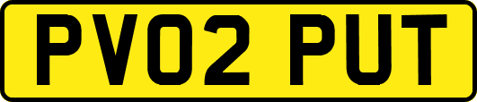 PV02PUT