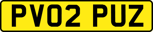 PV02PUZ