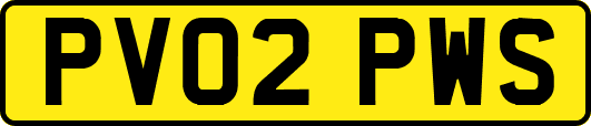 PV02PWS