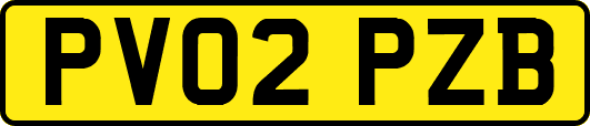PV02PZB