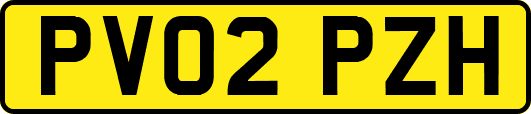 PV02PZH