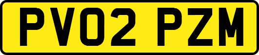 PV02PZM