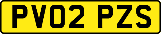 PV02PZS