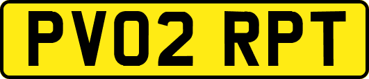 PV02RPT