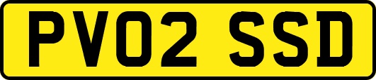 PV02SSD