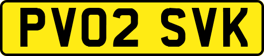 PV02SVK