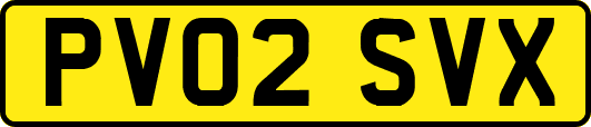 PV02SVX