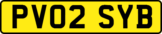 PV02SYB