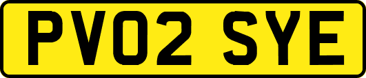 PV02SYE