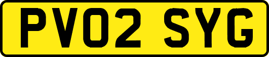 PV02SYG