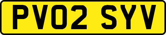 PV02SYV