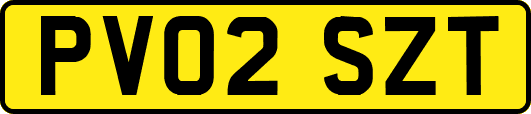 PV02SZT