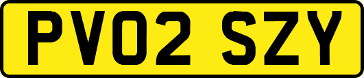 PV02SZY