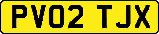 PV02TJX