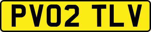PV02TLV