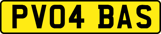 PV04BAS