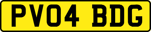 PV04BDG
