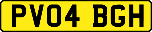 PV04BGH