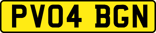 PV04BGN