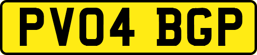 PV04BGP