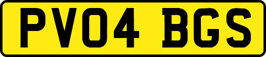 PV04BGS