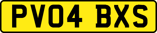 PV04BXS