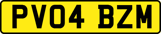 PV04BZM