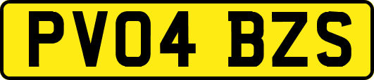 PV04BZS