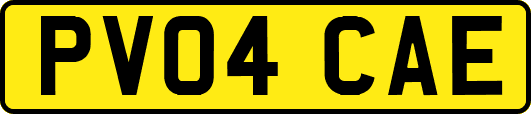 PV04CAE