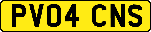 PV04CNS