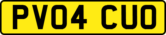 PV04CUO