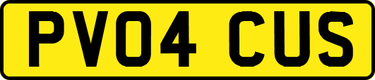 PV04CUS