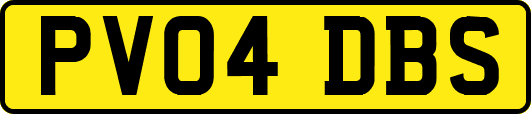 PV04DBS