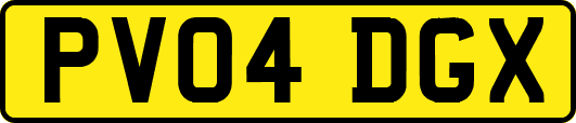 PV04DGX