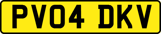 PV04DKV