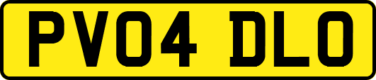 PV04DLO