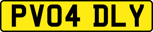 PV04DLY