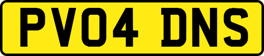 PV04DNS