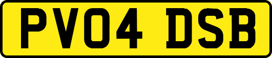 PV04DSB