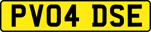 PV04DSE