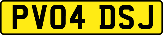 PV04DSJ