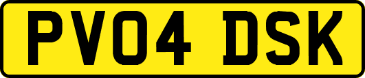 PV04DSK