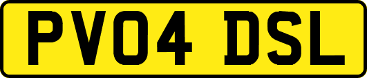 PV04DSL