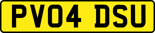 PV04DSU