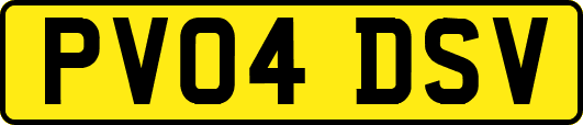 PV04DSV