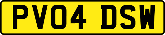 PV04DSW